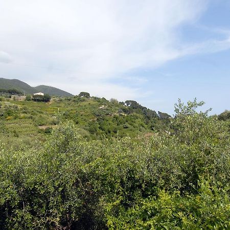 Villa Caribe Affittacamere Monterosso al Mare Eksteriør billede